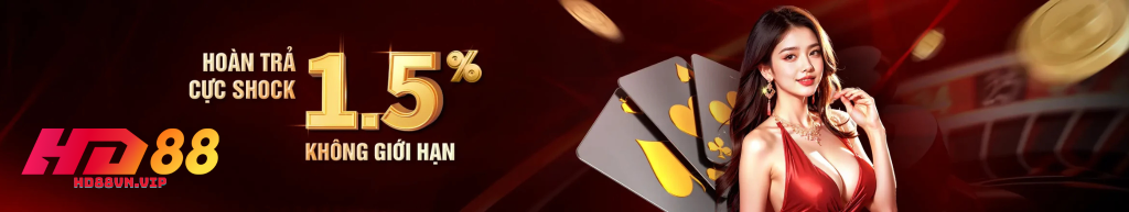 banner hd88vnvip