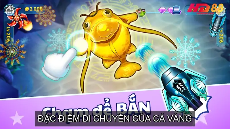 Đặc điểm di chuyển của cá vàng