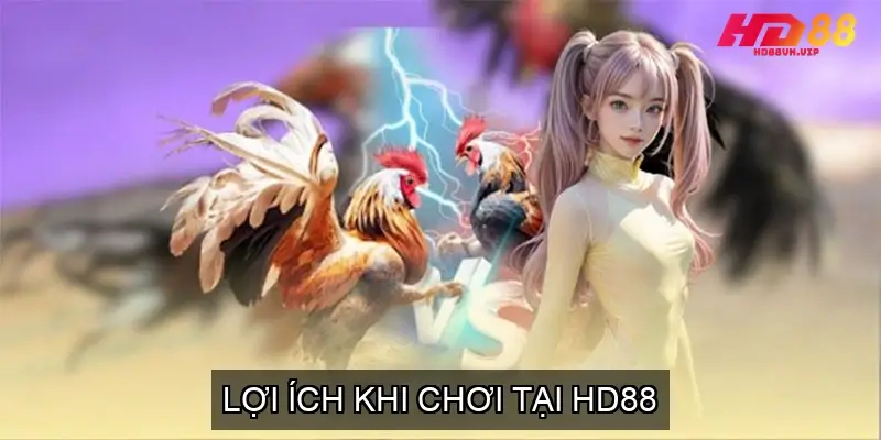 Lợi ích khi chơi tại HD88