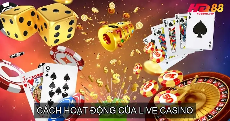 Live casino là gì? Khám phá trò chơi trực tuyến thú vị 2025 4 Cách hoạt động của Live Casino