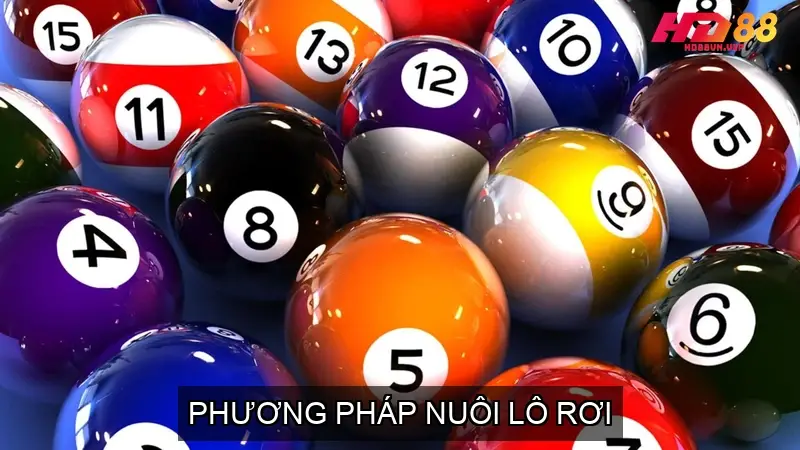 Phương Pháp Nuôi Lô Rơi