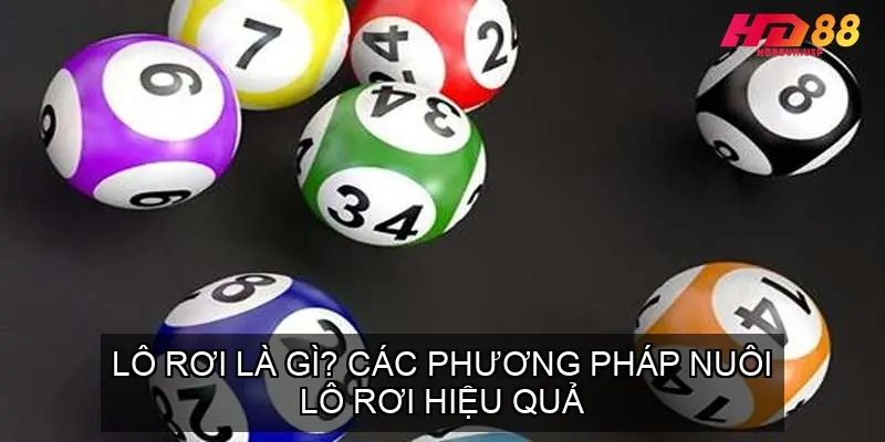 nuoi lo roi 68f1df625bd06