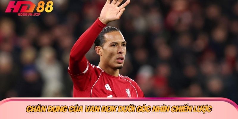 Chân dung của van Dijk dưới góc nhìn chiến lược